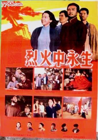 哪里能办理丹麦ID